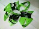 2000-2002 Green Black ZX6R Full Motorcycle Fairing Kits