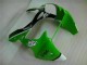 2000-2002 Green Black ZX6R Motorcycle Fairing & Bodywork