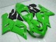 2005-2006 Green ZX6R Full Motorcycle Fairing Kits