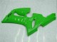 2005-2006 Green ZX6R Full Motorcycle Fairing Kits