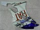 2006-2007 White Blue YZF R6 Motorcycle Fairings