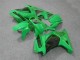 2008-2012 Green EX250 Motorcycle Fairings